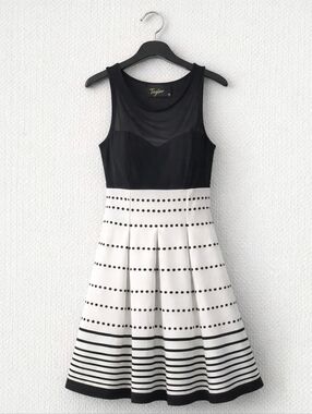 Taylor Black & White Mesh Bodice Fit & Flare Dress | Size 10